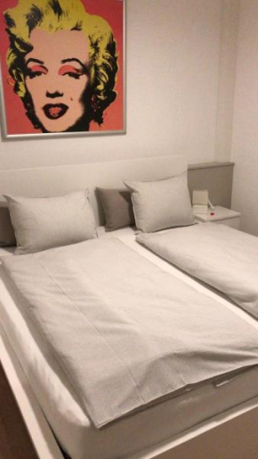 Kleine feine Wohnung Gmunden City